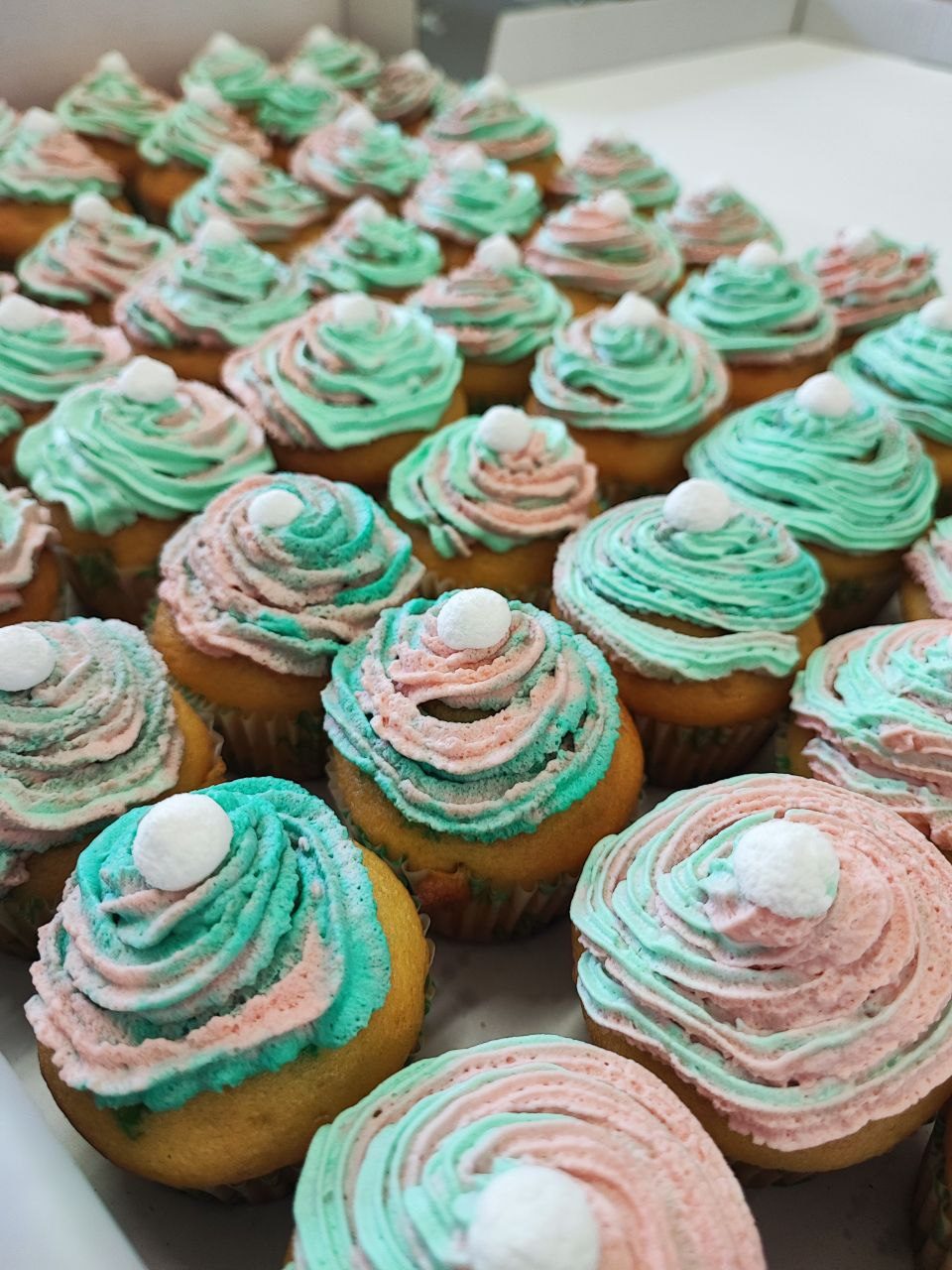 Cupcake della Panetta Bakery